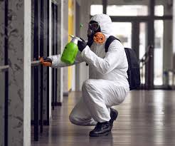 Mold Remediation for Rental Properties in Springs, NY